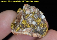 25.17 Gram Folsom CA. Gold & Quartz Specimen