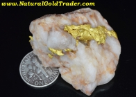 30.32 Gram Coloma CA. Gold & Quartz Specimen