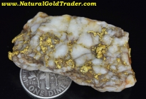 32.62 Gram Folsom CA. Gold & Quartz Specimen 