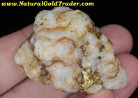 43.83 Gm. Mariposa CA. Gold & Quartz Specimen
