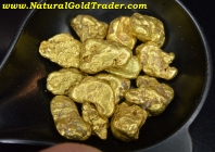 .50 ozt.+ 15.70 Gm. (14) Alaska Gold Nuggets