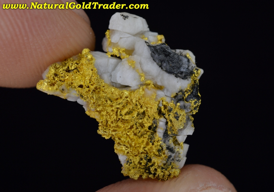 2.54 Gram California Gold & Quartz