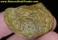 40.17 Gram Boise Basin Idaho Gold & Quartz