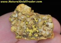 13.17 Gm. El Dorado CA. Gold & Quartz Specimen