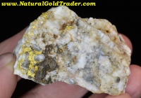 77.0 G. California Yellow Gold & White Quartz