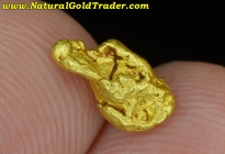 1.02 Gram Pure Coloma California Gold Nugget