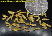.87 G. (40) Liberty WA. Wire Gold Specimens 