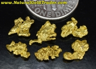 2.20 Grams (6) Chicken Alaska Gold Specimens