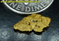 1.13 Gram Mineral Co. Montana Gold Nugget