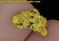 1.23 Gram Fish Creek Montana Gold Nugget