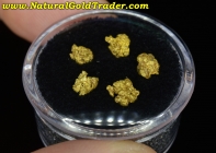 1.36 Grams (5) Rough & Coarse AK Gold Nuggets