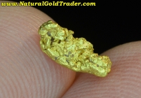 .55 G. Humboldt County Nevada Gold Nugget