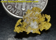 .93 Gram Natural CA. Gold & Quartz Nugget