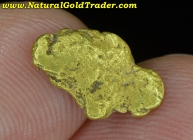 1.56 Gram Angels Camp California Gold Nugget