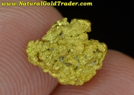 1.88 Gram Coloma CA. Natural Gold Nugget