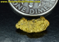 1.35 Gm. Sawtooth NV. Coarse Gold Nugget