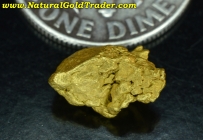 1.73 Gm. Humboldt Co. Nevada Gold Nugget