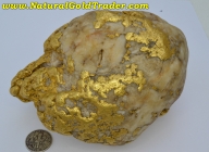 58.71 ozt. Stanislaus CA. Giant Gold & Quartz