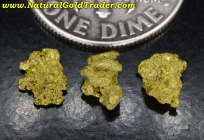 .62 Grams (3) Chunky Nevada Gold Nuggets