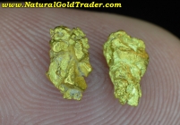 1.28 Grams (2) Northern Nevada Gold Nuggets