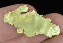1.05 Gm. Big California Leaf Gold Specimen