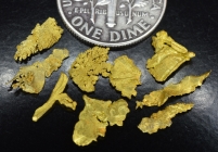 1.24 G. (9) Eugene Mnt. Nevada Gold Specimens