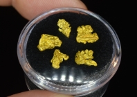 1.98 G. (5) Eugene Mtn. Nevada Gold Specimens
