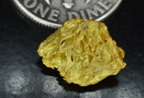 1.84 Gram Eugene Mtn. Nevada Gold Specimen