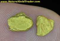 1.23 Gm. (2) YF Jordan Creek ID. Gold Nuggets