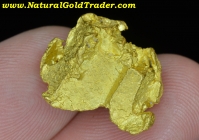 13.96 G Pershing County Nevada Gold Nugget