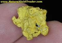 5.70 Gram Winnemucca Nevada Gold Nugget
