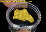 10.85 Gram Eugene Mtn. Nevada Gold Nugget