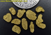 1.97 Grams (10) California Gold Nuggets
