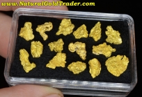 15.64 Gm. .5 ozt.+ (15) Nevada Gold Nuggets