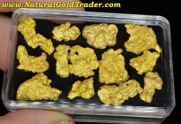 1 ozt.+ 31.10 Gm. (13) Nevada Gold Nuggets