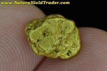 1.91 Gram Placerville Idaho Gold Nugget