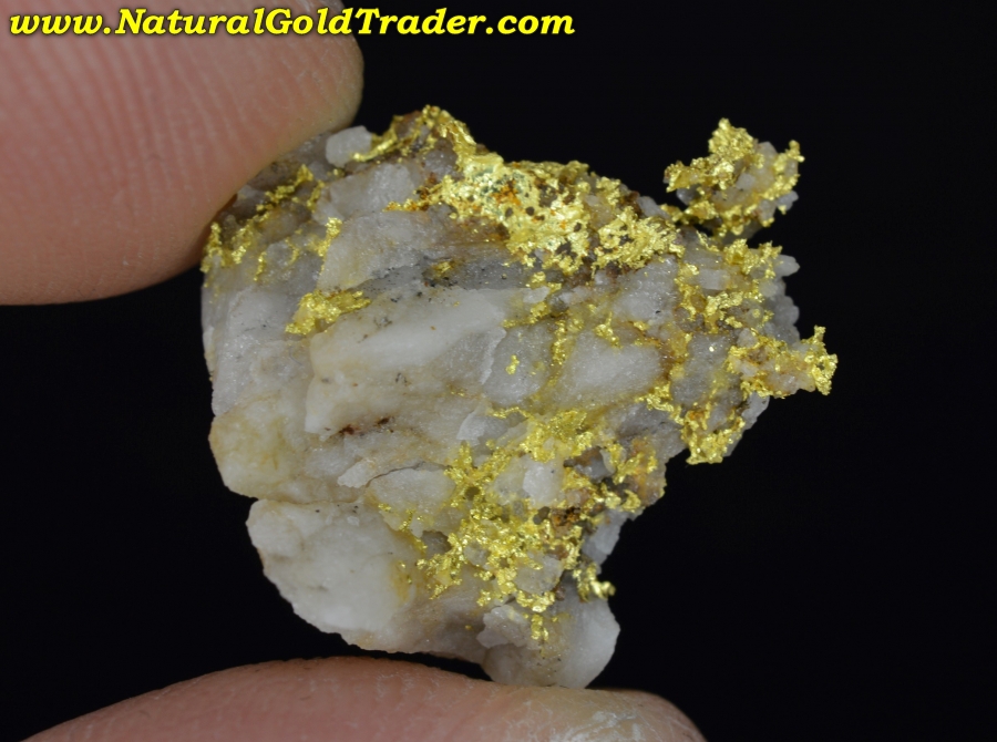 Quartz Gold Ore Specimen Collection – CGNPEB