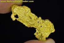 13.16 Gram Northern Nevada Gold Nugget