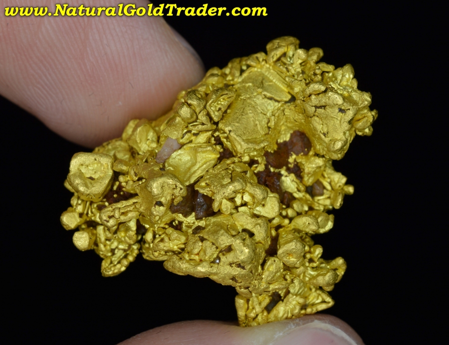 26.9 Gram Coloma California Gold Specimen