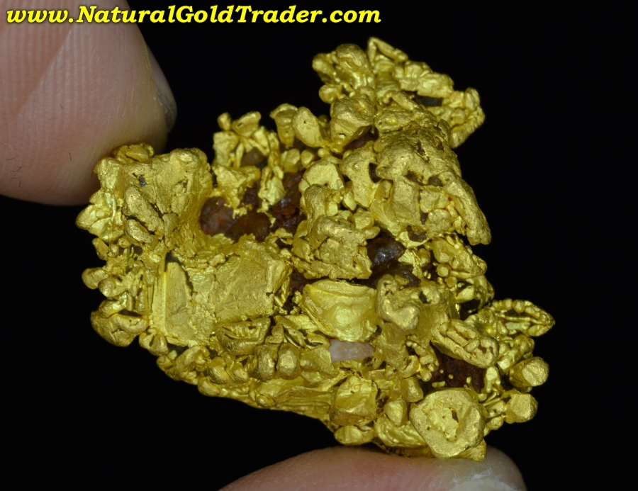 26.9 Gram Coloma California Gold Specimen