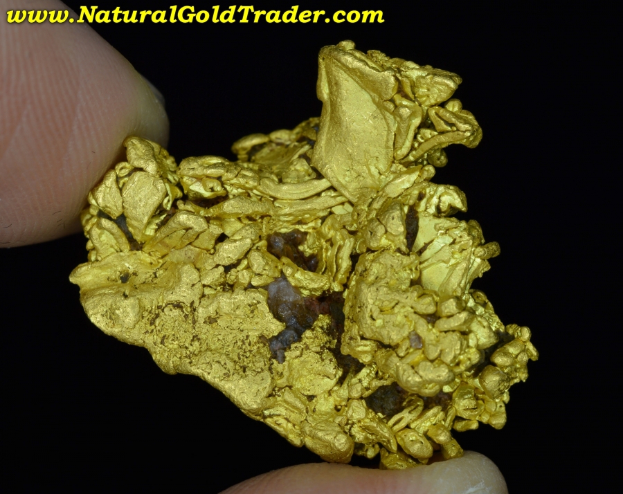 26.9 Gram Coloma California Gold Specimen