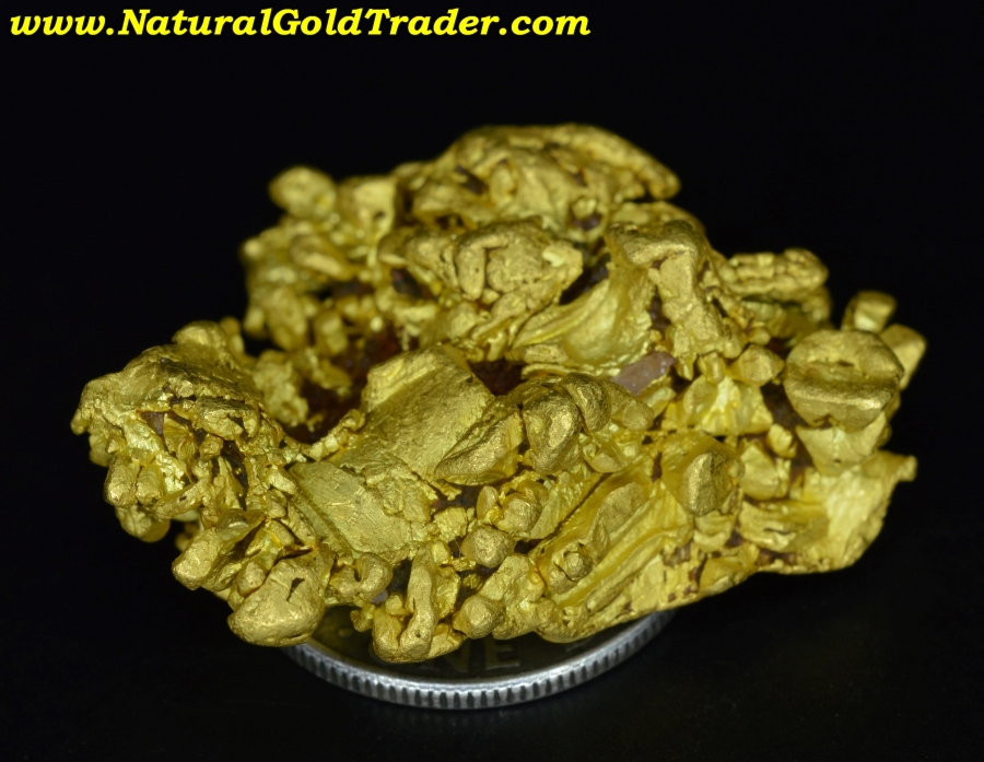 26.9 Gram Coloma California Gold Specimen