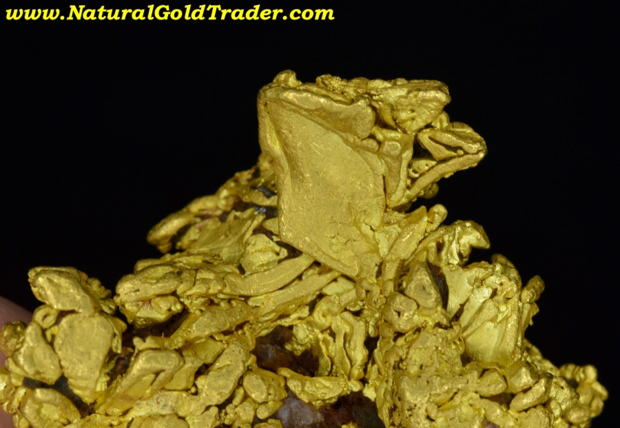 26.9 Gram Coloma California Gold Specimen
