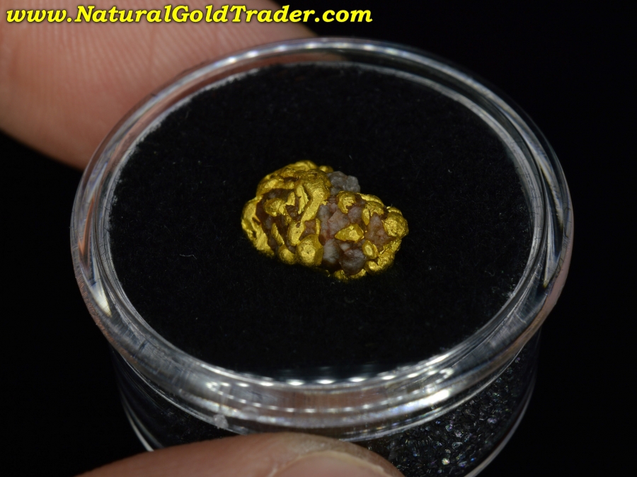 2.89 Gram Coloma California Gold & Quartz