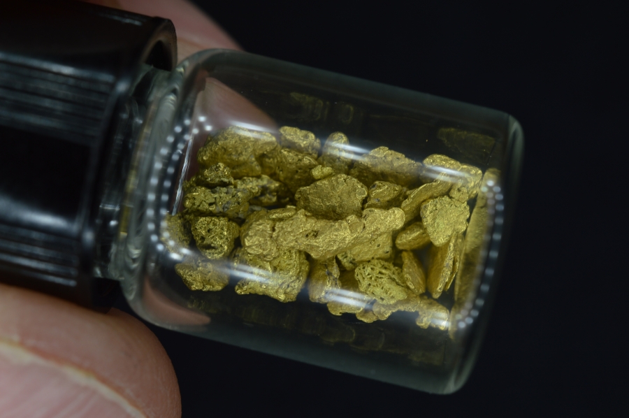 2.42 Grams of Montana Gold Pickers