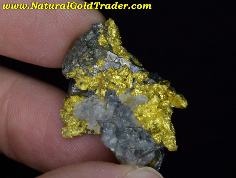 48.4 Gram Diltz Mine California Gold Specimen