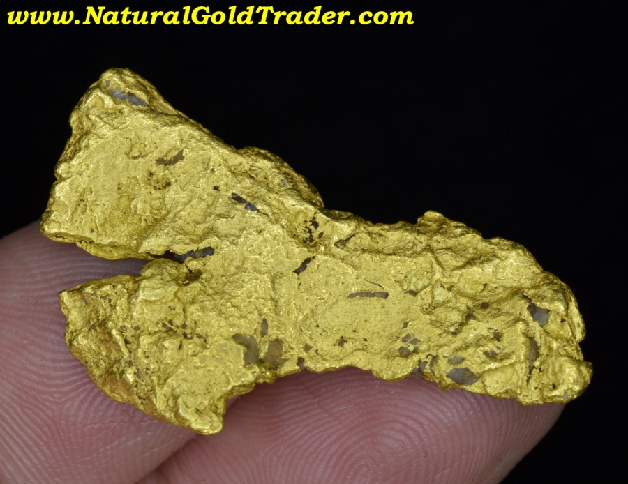 13.04 gram sonora mexico gold nugget