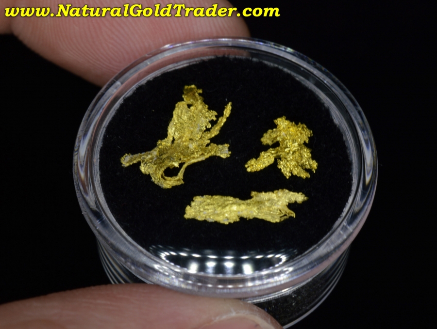 0.95 Grams (3) California Crystalline Gold Specimens