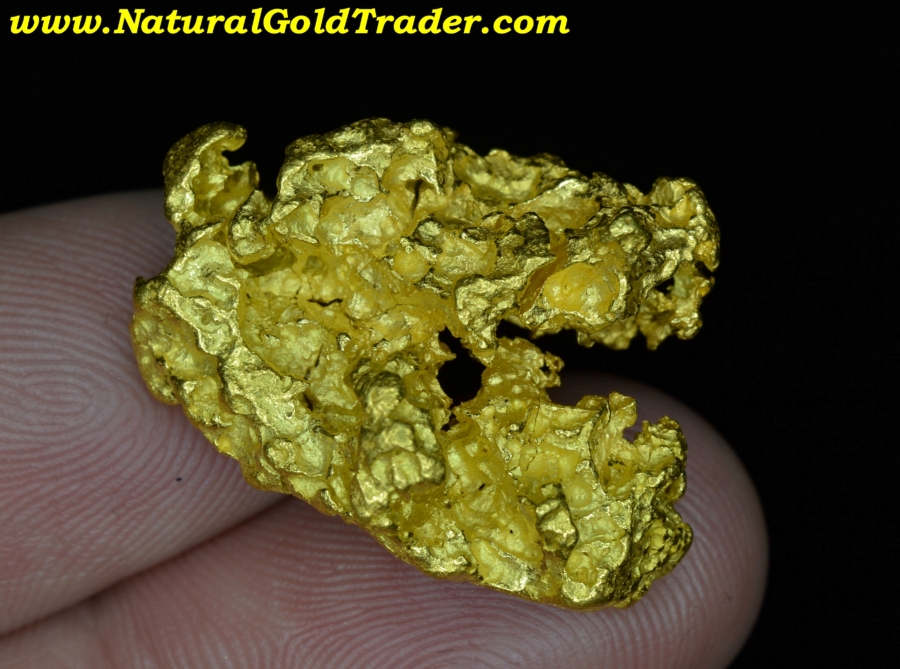 Australian Nugget 1/20 Ounce Gold Coin Gold&Co