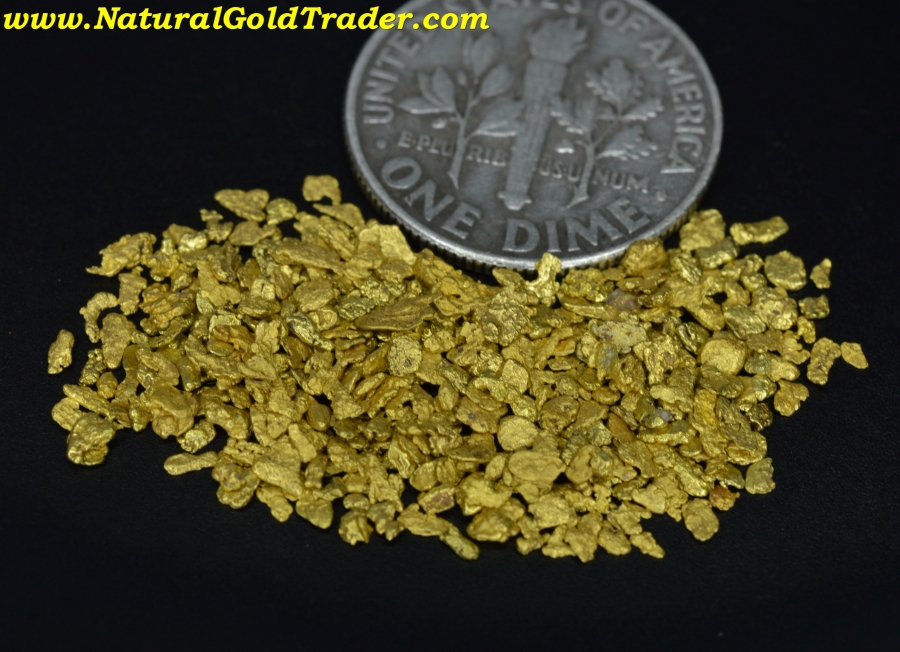 3.23 Grams of North Carolina Placer Gold